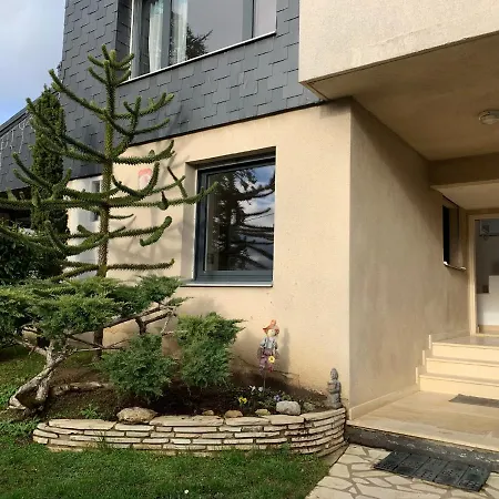 Homestay Chambre Cosy - Paris Sud Et Proche Orly - Service Parking *
