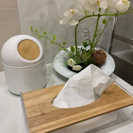 Chambre Cosy - Paris Sud Et Proche Orly - Service Parking Homestay Draveil